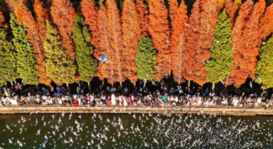 滇池：美景如畫引客來